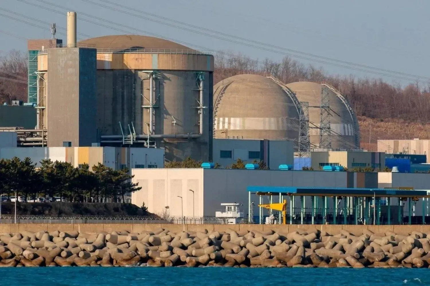 South Korea restarts nuclear reactor to boost energy supply