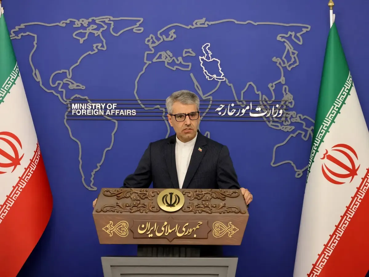 Iranian Foreign Ministry received America views studying