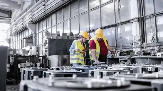Parliamentary Committee Calls for Urgent Government Measures to Boost Local Industry