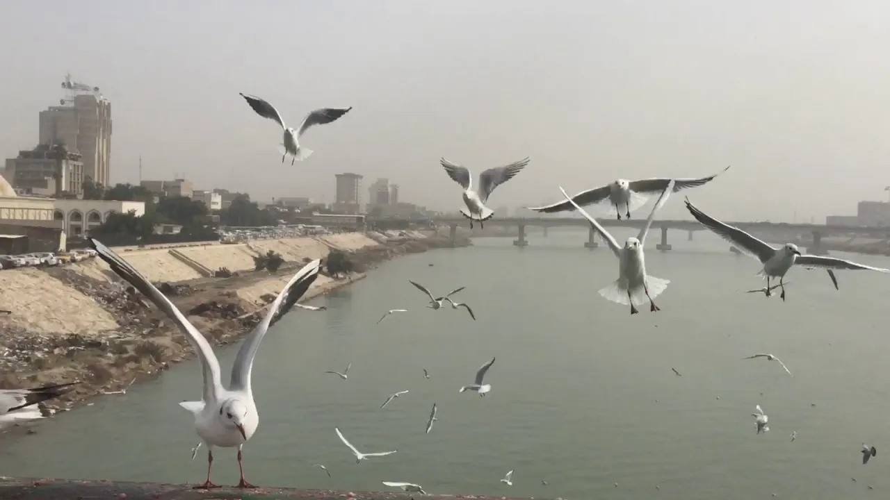 Meteorological Authority Announces Monday's Weather: Clear to Partly Cloudy Across Regions