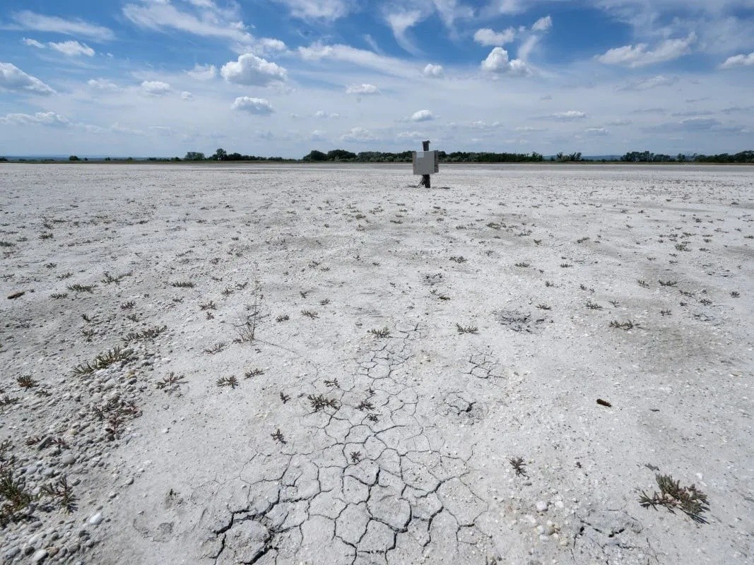 Heatwave Aftermath: Billions in Economic Losses Strike Europe